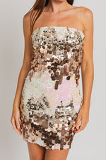 Making Spirits Bright Dress in Silver/Gold